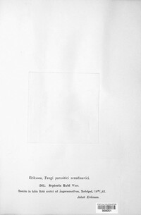Mycosphaerella rubi image